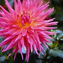 ���� ����� - ���������� ��������!!!, �����������, 56 ��� - ��������� 11 ������ 2010 � ������ ����������