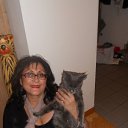 ���� ����, �����-���������, 65 ��� - ��������� 2 ������ 2012