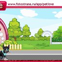  , , 41  -  6  2011   PetLove