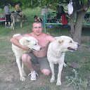 ���� ���������, �������, 41 ��� - ��������� 31 ���� 2012