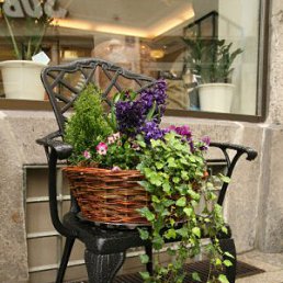 ���� Cat, ������, 44 ���� - ��������� 20 ������� 2010