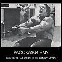 ���� ������� �����, �������, 41 ��� - ��������� 24 ������� 2012 � ������ ���� ����������