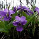 ���� �����, ������������, 56 ��� - ��������� 13 ������ 2013 � ������ ������ ��������