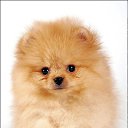 ���� �����, ���� - ��������� 26 ������� 2013 � ������ ���� ������ ������� �����, ��� ������ �������� ������)))�