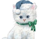 ���� ����, ���������, 24 ���� - ��������� 28 ������ 2012 � ������ ��������)�