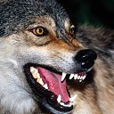 ���� �����, �����-�������� - ��������� 4 �������� 2012 � ������ �� ���� � ���� ������� ���.�