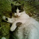 ���� ������, ������� - ��������� 24 ����� 2010 � ������ ���� ���