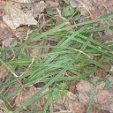 ���� �����, ������, 51 ��� - ��������� 20 ������� 2010 � ������ ������ � ��� ����������