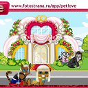  , , 42  -  8  2010   PetLove