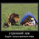 ���� �����, ������ - ��������� 28 ����� 2013 � ������ �������!!!!!!!!!!�