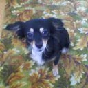 ���� �����, ������������, 38 ��� - ��������� 4 ������� 2012 � ������ ���� ��������