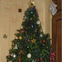 ���� ����*, ������ - ��������� 25 ���� 2012 � ������ ������ ��� 2012�
