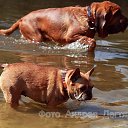 ���� �����, ������, 57 ��� - ��������� 8 ��� 2012 � ������ ���� ����������