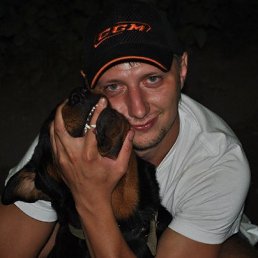 ���� ������, ���������, 41 ��� - ��������� 12 ������� 2013