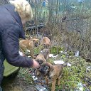 ���� ������, �����-���������, 62 ���� - ��������� 11 ����� 2013