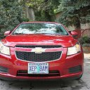 ���� ������, ������� - ��������� 3 �������� 2011 � ������ �PetLove�