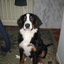  )tatyana, , 56  -  14  2012    