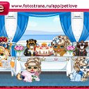  , , 40  -  24  2010   PetLove