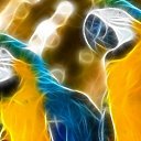  , , 43  -  15  2009   Digital Art Wallpapers