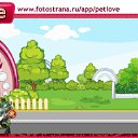 ���� �����, �����-���������, 41 ��� - ��������� 26 ��� 2011