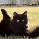 ���� ��������, ������������, 49 ��� - ��������� 27 ������� 2011 � ������ ���������