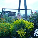 ���� ������, ����������, 66 ��� - ��������� 14 ������� 2011 � ������ ���� ����������