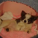 ���� Zermi, ������, 39 ��� - ��������� 10 ������� 2013 � ������ ���� ����������