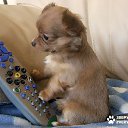  Lika,  -  3  2010      :)