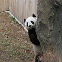 ����� �� ������� ���� ����������