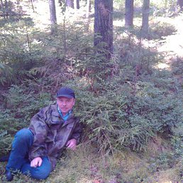 ����, �����, 52 ����