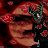���� &dagger;&dagger;&dagger; Deidara &dagger;&dagger;&dagger;, �����, 31 ��� - ��������� 19 ������� 2010