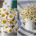  Back To Real Life, , 57  -  1  2012    