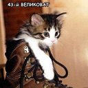 ���� �������, �����, 39 ��� - ��������� 2 ������ 2009 � ������ ��������� �����