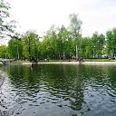  D.s., , 38  -  7  2013    2008, //ֻ