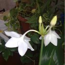 ���� ��������, ������������, 59 ��� - ��������� 2 ������� 2011 � ������ ���� ����������