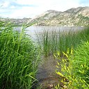  Irina, , 52  -  22  2010    