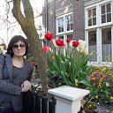 ��������� 04.05.2013 �� ������� ���� ����������