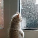 ���� ��������, �����-���������, 66 ��� - ��������� 10 ��� 2013 � ������ ���������.�