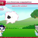  , , 28  -  10  2010   PetLove