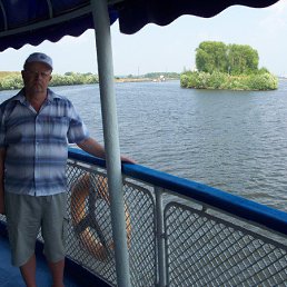 �����, ������, 65 ���