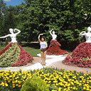 ���� �����, ���������, 64 ���� - ��������� 20 ���� 2013 � ������ ����������