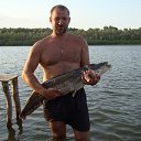 ���� ��������, ������, 53 ���� - ��������� 1 ���� 2012 � ������ ���� ����������