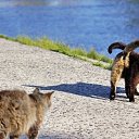 ���� ��������, ��������, 64 ���� - ��������� 1 �������� 2011 � ������ �������