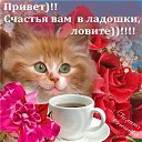 ���� �����, ��������, 67 ��� - ��������� 13 ������ 2013 � ������ ���� ����������