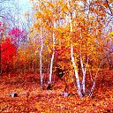  Back To Real Life, , 57  -  1  2012    