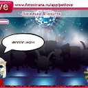 ���� ����, �����, 42 ���� - ��������� 23 ������ 2010