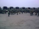  , , 39  -  3  2011    