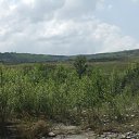  , , 41  -  23  2010   ~   ~