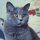 ���� Serega, ��������� - ��������� 25 ������� 2010 � ������ ������