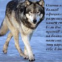 ���� Yurii, �����, 38 ��� - ��������� 2 ������� 2012